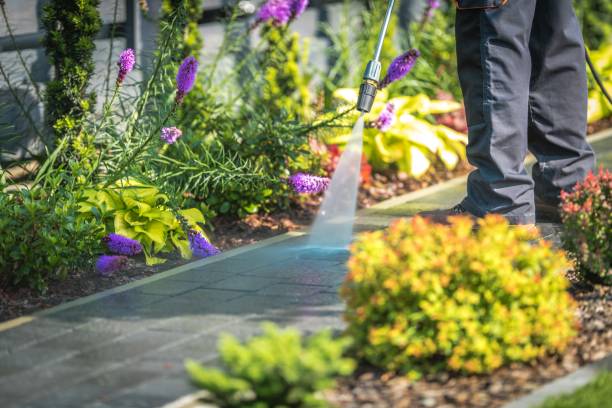 Best Sidewalk and Walkway Cleaning  in Lead, SD